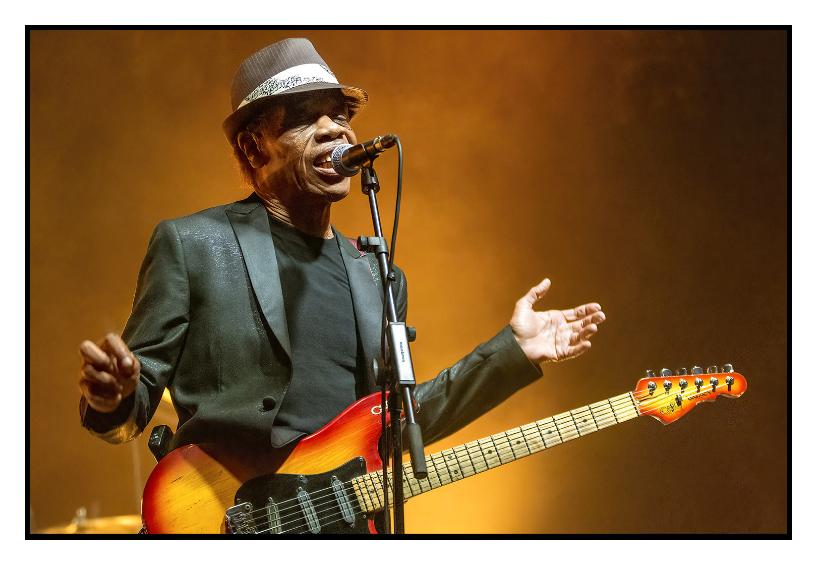 Roanne Blues Festival - James Amstrong